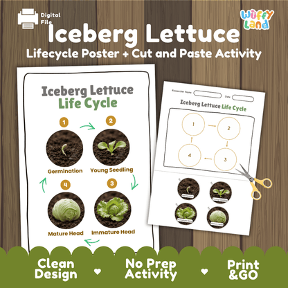 Iceberg lettuce plant life cycle educational printable pack cover showing visual reference poster and cut and paste sequencing worksheet with real photography