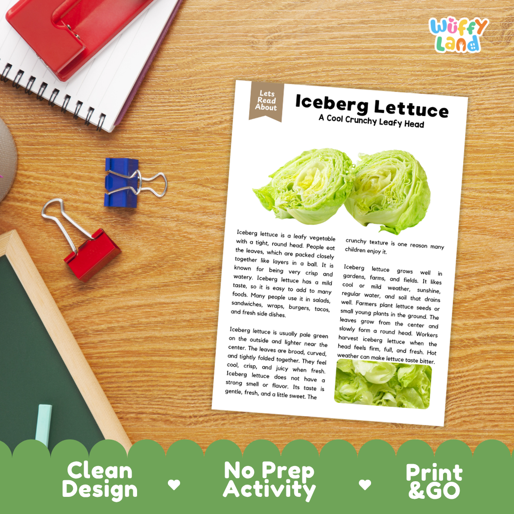 Student reading comprehension worksheet with short-answer questions and lined sections about iceberg lettuce