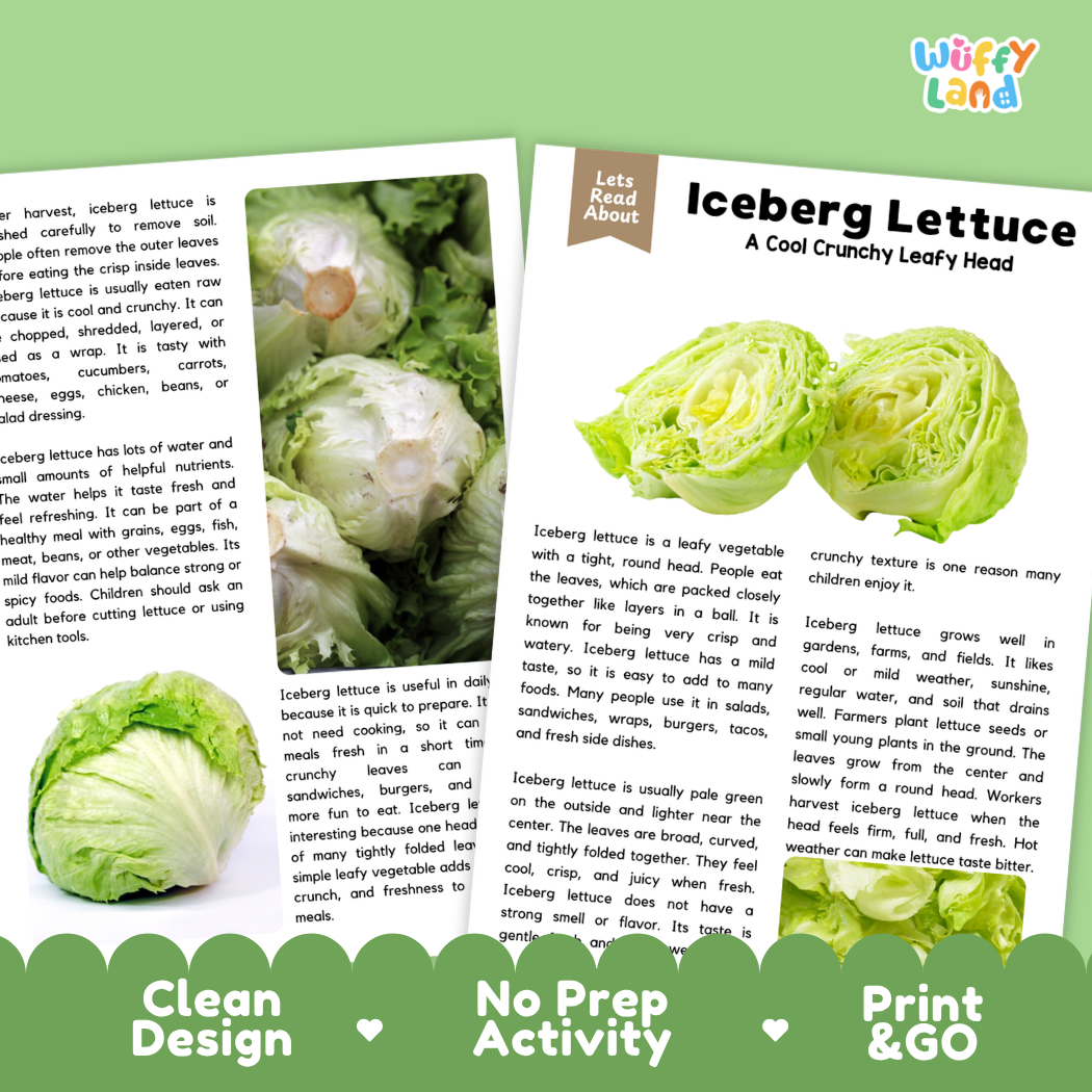 Teacher answer key page showing complete question solutions for iceberg lettuce reading comprehension practice