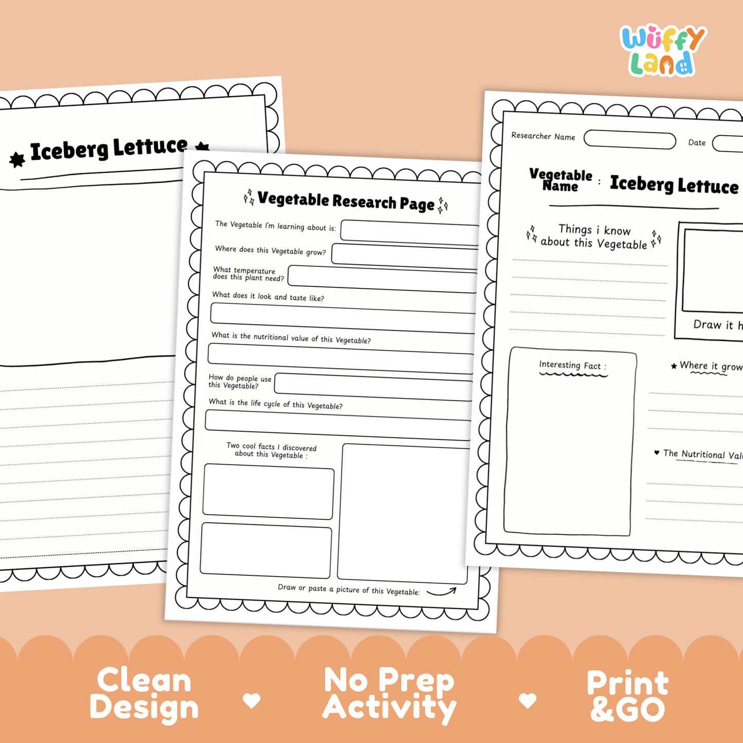 Iceberg Lettuce Research Activity Worksheet Science Vegetable Healthy Eating