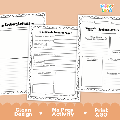 Iceberg Lettuce Research Activity Worksheet Science Vegetable Healthy Eating