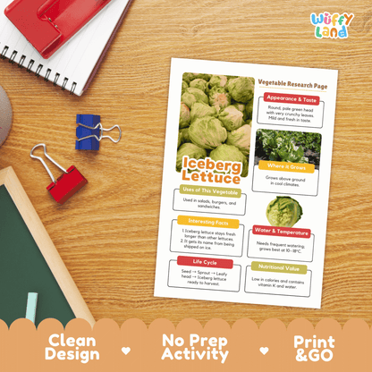 Iceberg Lettuce Research Activity Worksheet Science Vegetable Healthy Eating
