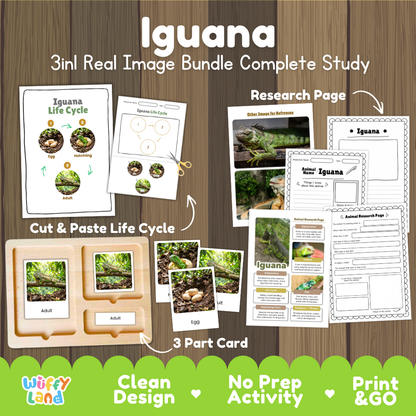 Iguana 3-in-1 real image bundle complete study cover showing cut and paste life cycle, 3 part cards, and research pages