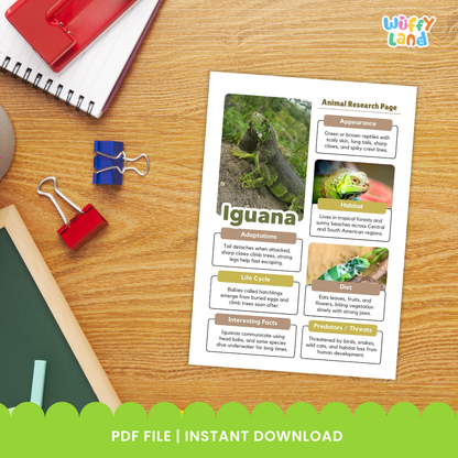 Iguana Animal Research Page Printable Worksheets for Early Elementary
