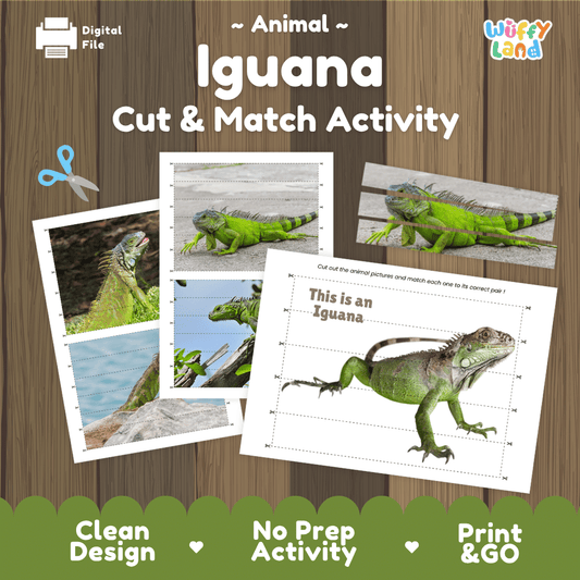 Iguana Cut and Match Activity Worksheets | Reptile Animal Puzzle Printables