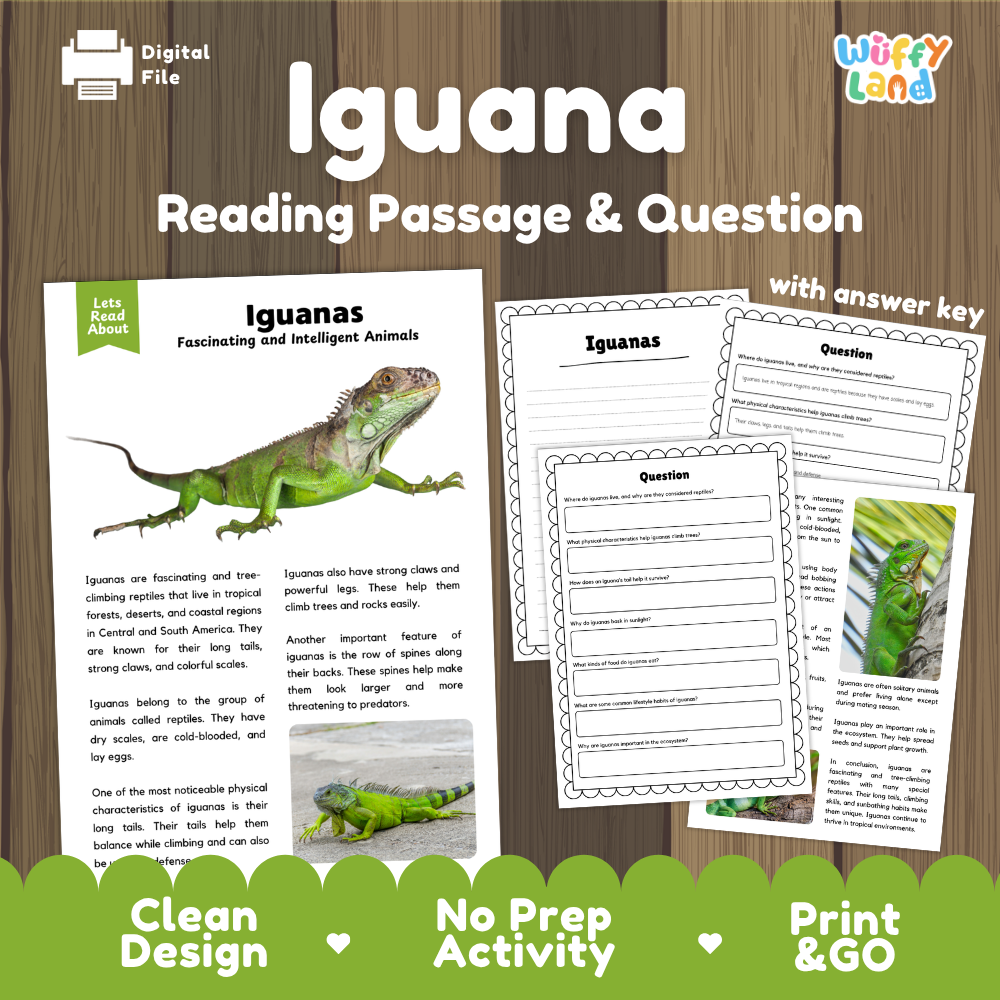 Digital reading activity product titled 'Iguana Reading Passage & Question' shown on a wood background, with preview pages of an iguana fact sheet, worksheet questions, and an answer key. Branding includes 'Wiffly Land' and a 'Digital File' label.
