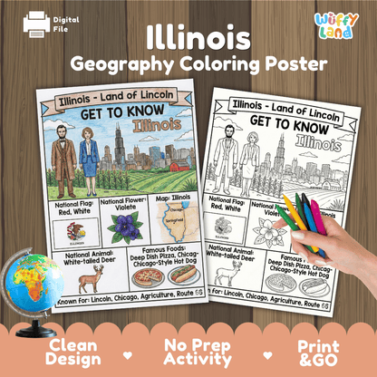 Illinois State Geography Coloring Poster | US States Study Research Worksheet Activity
