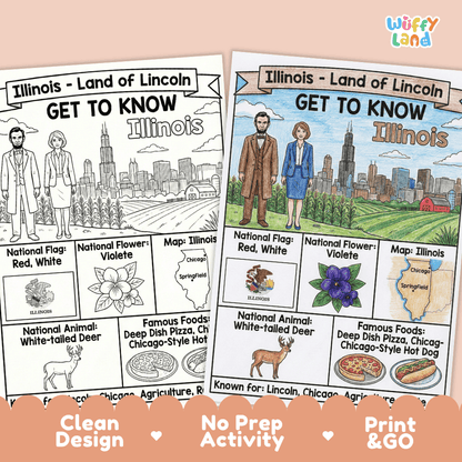 Illinois State Geography Coloring Poster | US States Study Research Worksheet Activity