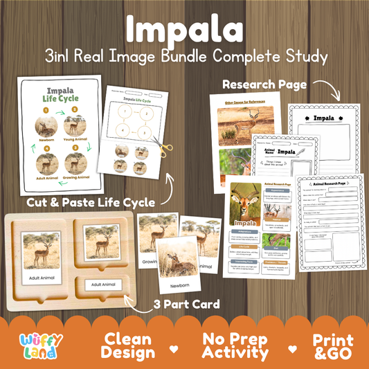 Impala 3-in-1 real image bundle complete study cover showing cut and paste life cycle, 3 part cards, and research pages