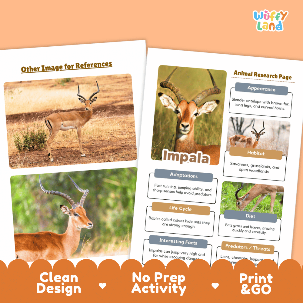 Impala Animal Research Page Worksheets