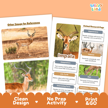 Impala Animal Research Page Worksheets