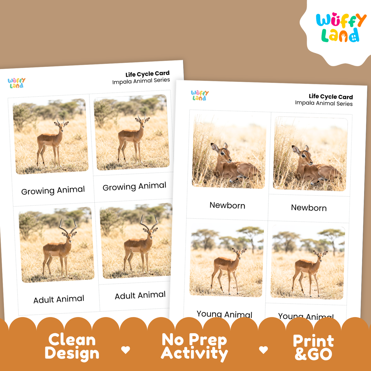 Impala Life Cycle Flashcards | Montessori 3 Part Cards Mammal Activity