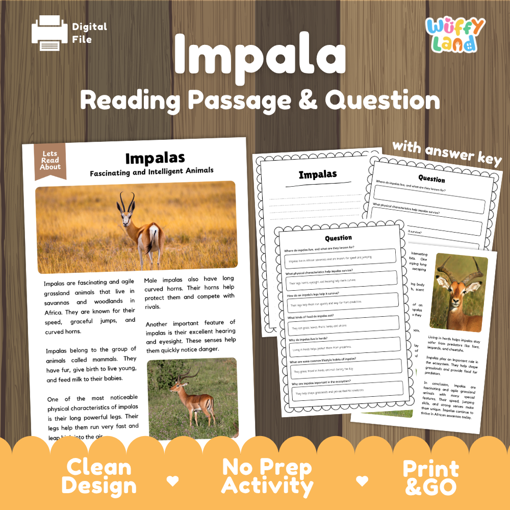 Impala Reading Passage and Comprehension Questions Worksheets