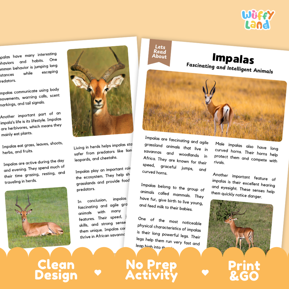 A children's educational activity sheet titled 'Impalas Fascinating and Intelligent Animals' from Lets Read About, featuring text, two color photos of impalas, and three small inset photos, presented on a white background with 'Clean Design', 'No Prep Activity', and 'Print & Go' badges.