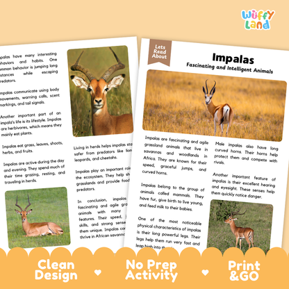 A children's educational activity sheet titled 'Impalas Fascinating and Intelligent Animals' from Lets Read About, featuring text, two color photos of impalas, and three small inset photos, presented on a white background with 'Clean Design', 'No Prep Activity', and 'Print & Go' badges.