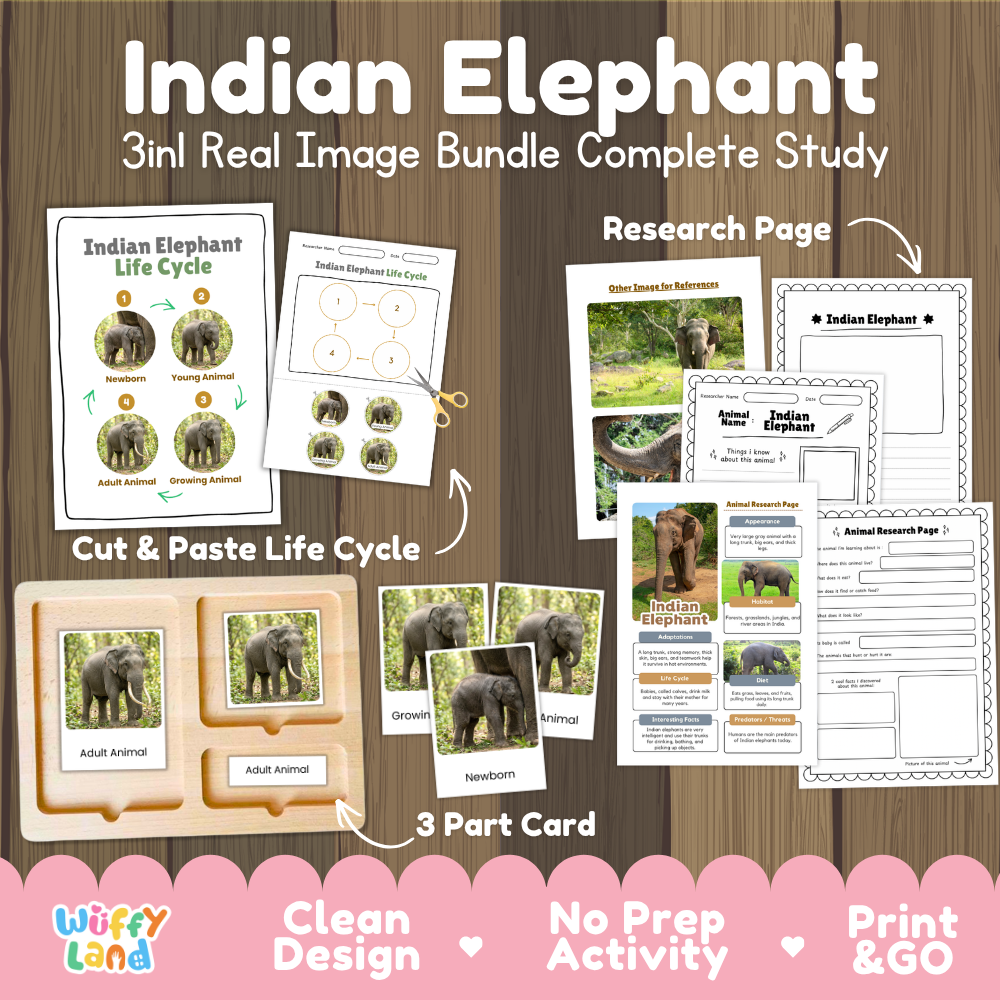 Indian elephant 3-in-1 real image bundle complete study cover showing cut and paste life cycle, 3 part cards, and research pages