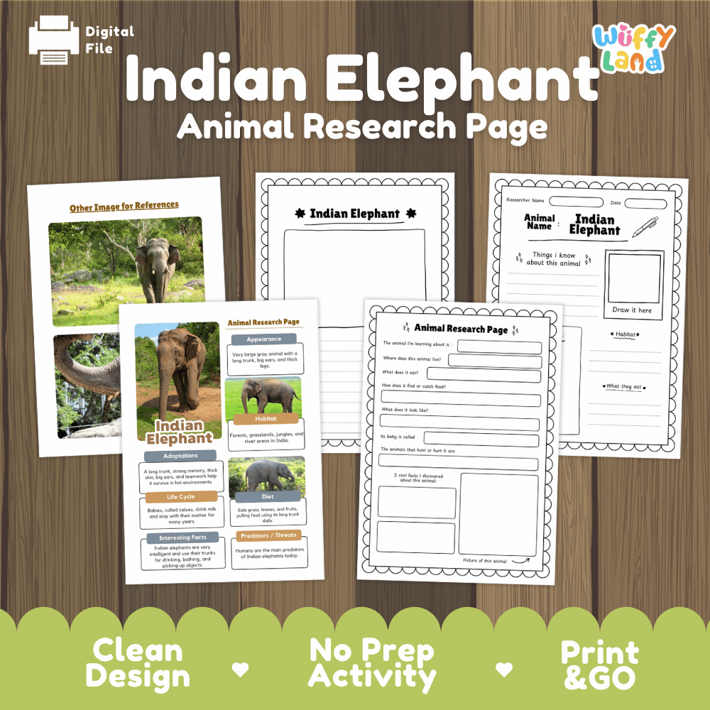 Indian Elephant Animal Research Page Worksheets and Fact Sheet Activity