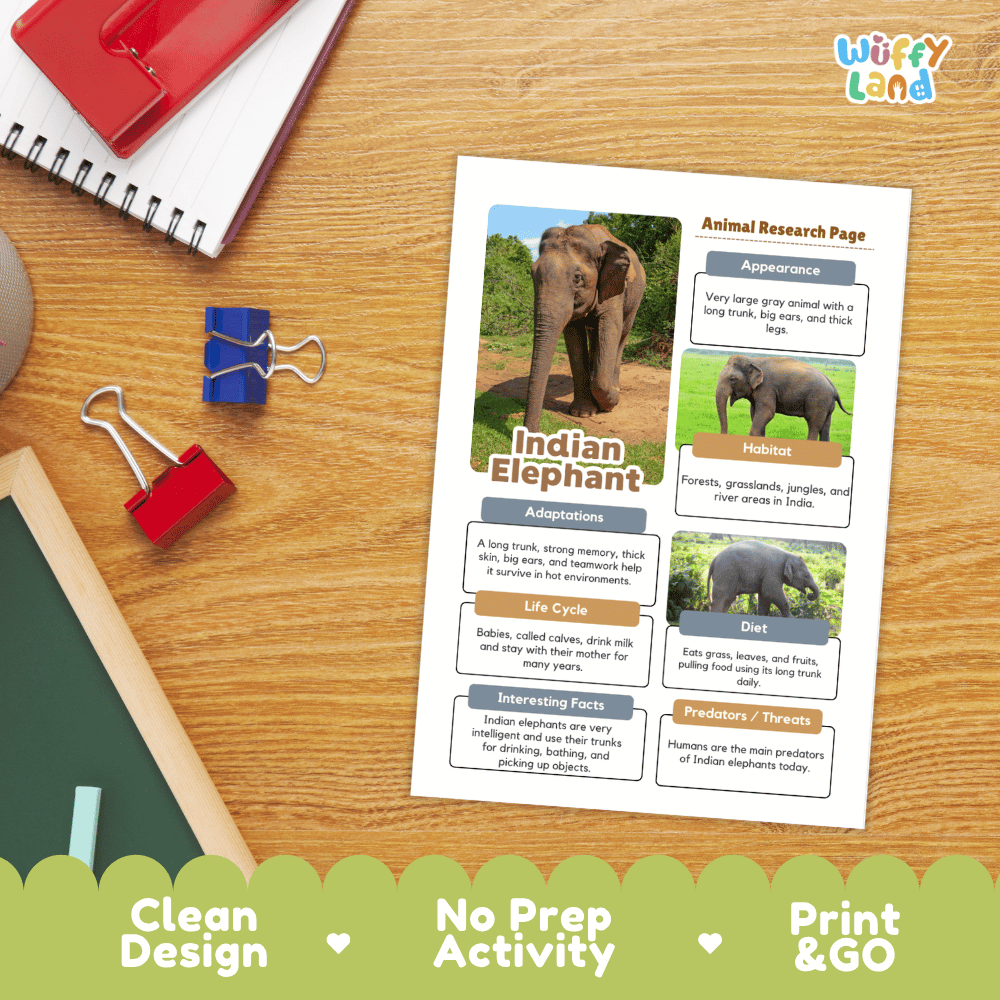 Indian Elephant Animal Research Page Worksheets and Fact Sheet Activity