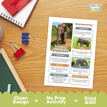 Indian Elephant Animal Research Page Worksheets and Fact Sheet Activity