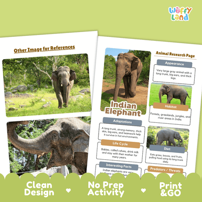 Indian Elephant Animal Research Page Worksheets and Fact Sheet Activity