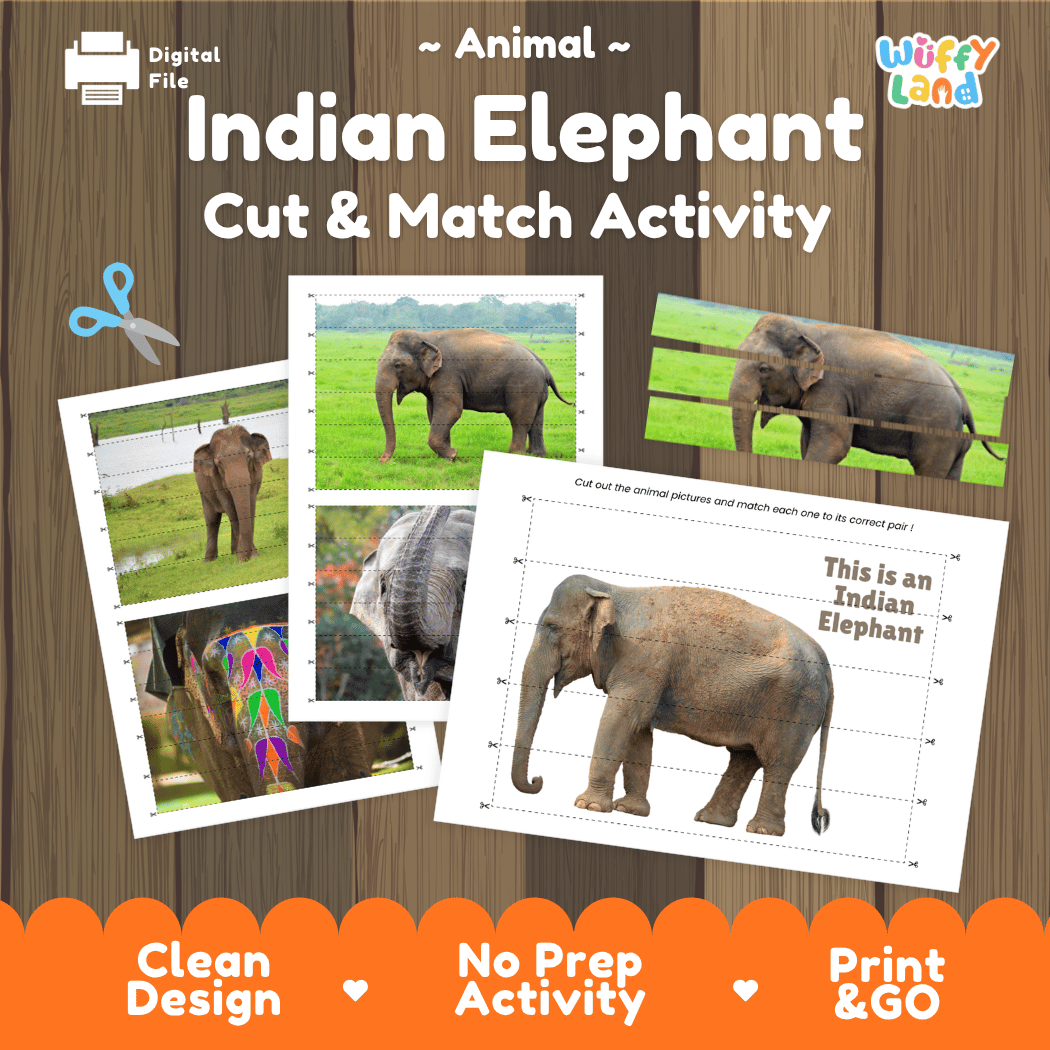 Indian Elephant Cut and Match Activity Worksheets | Asian Animal Puzzle Printables