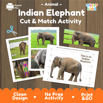 Indian Elephant Cut and Match Activity Worksheets | Asian Animal Puzzle Printables