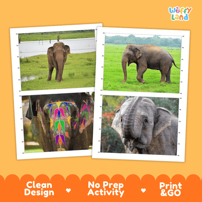 Indian Elephant Cut and Match Activity Worksheets | Asian Animal Puzzle Printables