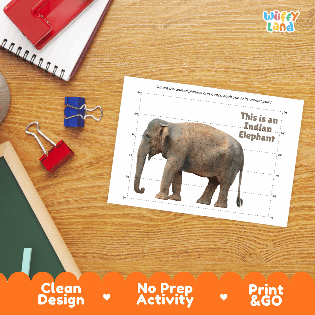 Indian Elephant Cut and Match Activity Worksheets | Asian Animal Puzzle Printables