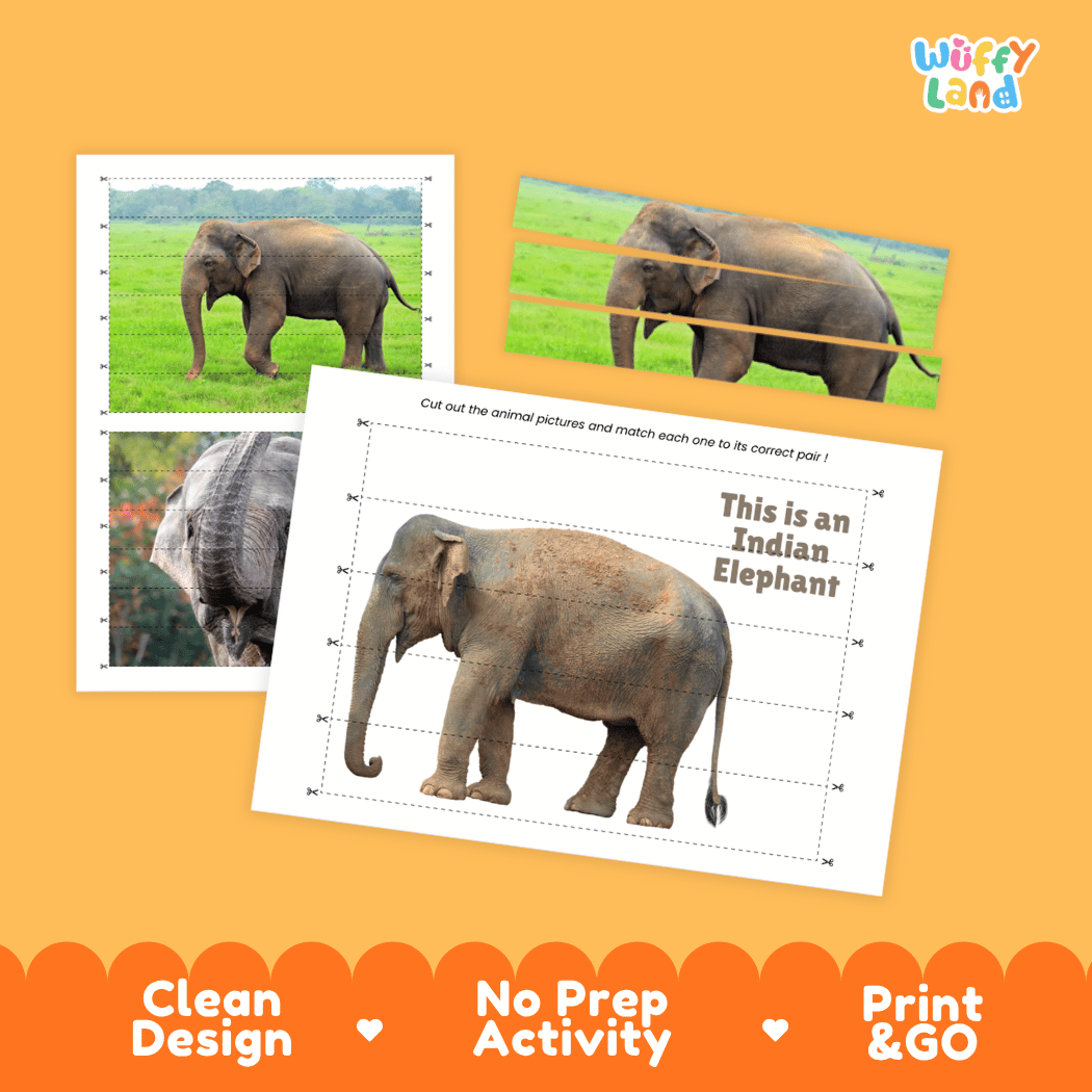 Indian Elephant Cut and Match Activity Worksheets | Asian Animal Puzzle Printables