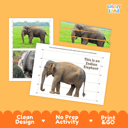 Indian Elephant Cut and Match Activity Worksheets | Asian Animal Puzzle Printables
