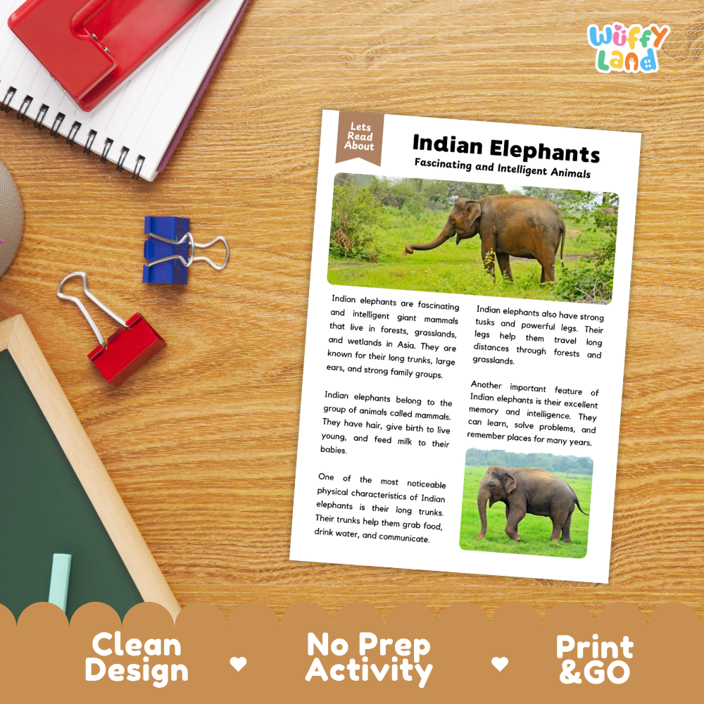 An educational activity sheet titled 'Indian Elephants' laid flat on a wooden desk, surrounded by school supplies including a red notebook, blue binder clips, and a red pencil case. The sheet includes text and photos of elephants.