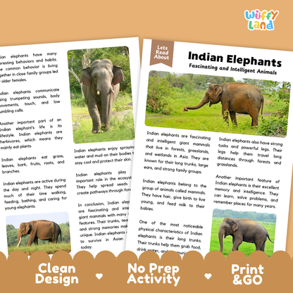 Two educational booklets about Indian Elephants from the brand Wiffly Land, featuring text, illustrations, and a cartoon elephant. The booklets are displayed on a white background with a decorative brown banner at the bottom.