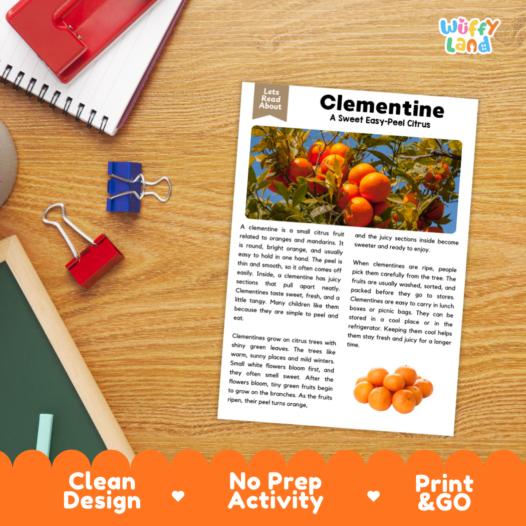 Student reading comprehension worksheet with short-answer questions and lined sections about clementines