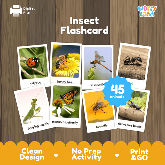 Insect Flashcard printable bugs and minibeasts real photo activity pack overview from Wuffy Land featuring 45 animals 🐞🐝