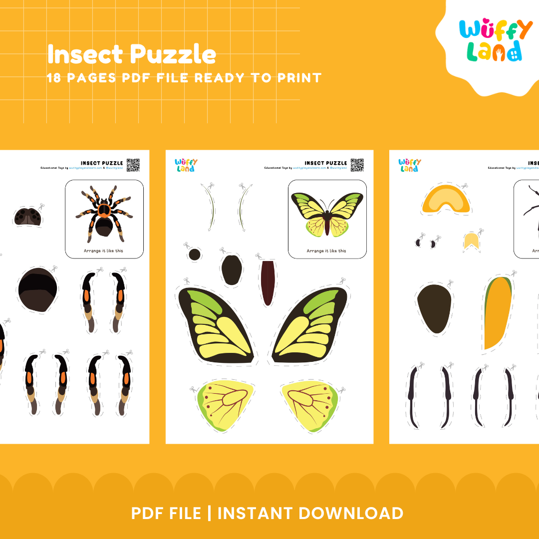 Insect Puzzle – Printable Bug-Themed Activity Sheets