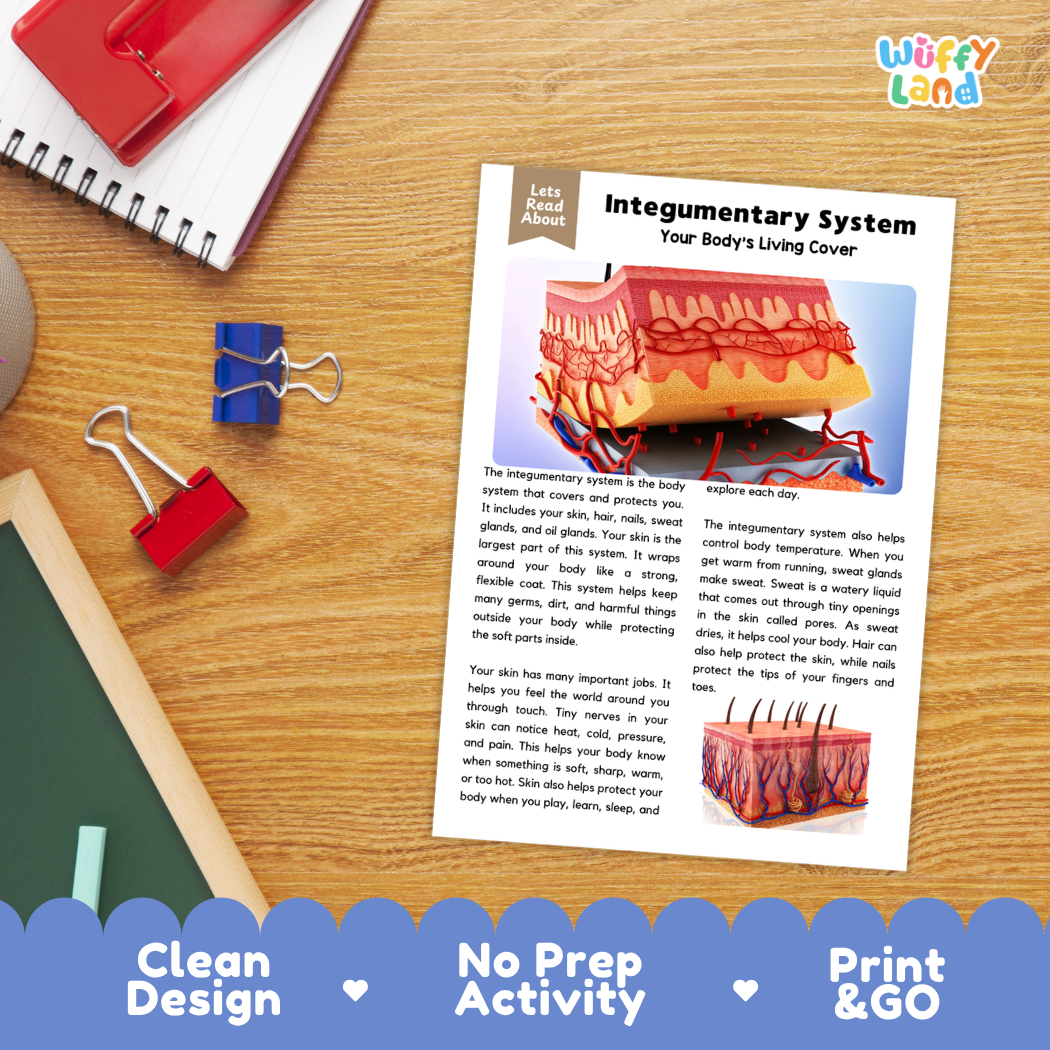 Student reading comprehension worksheet with short-answer questions and lined sections about the human integumentary system