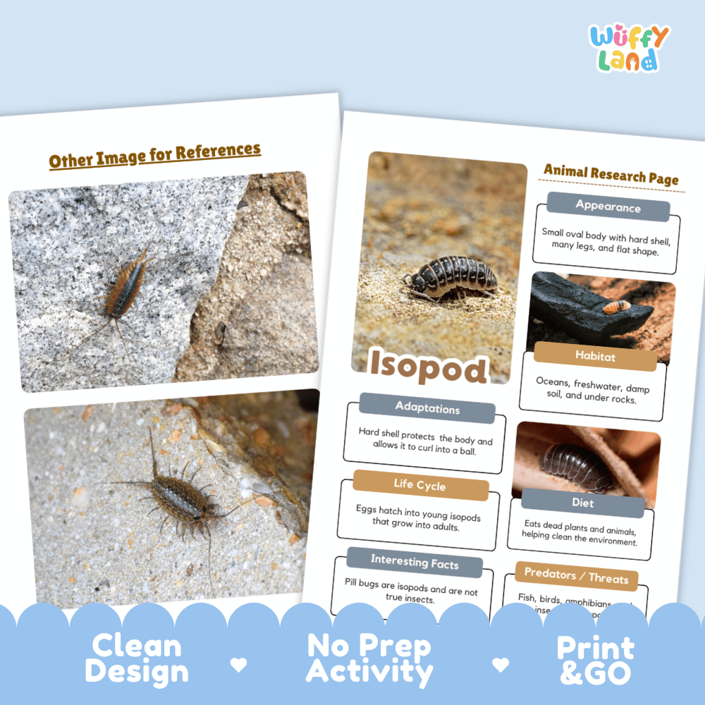 Isopod Animal Research Page Worksheets