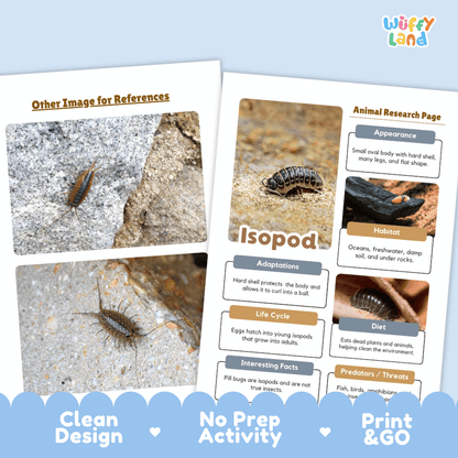 Isopod Animal Research Page Worksheets