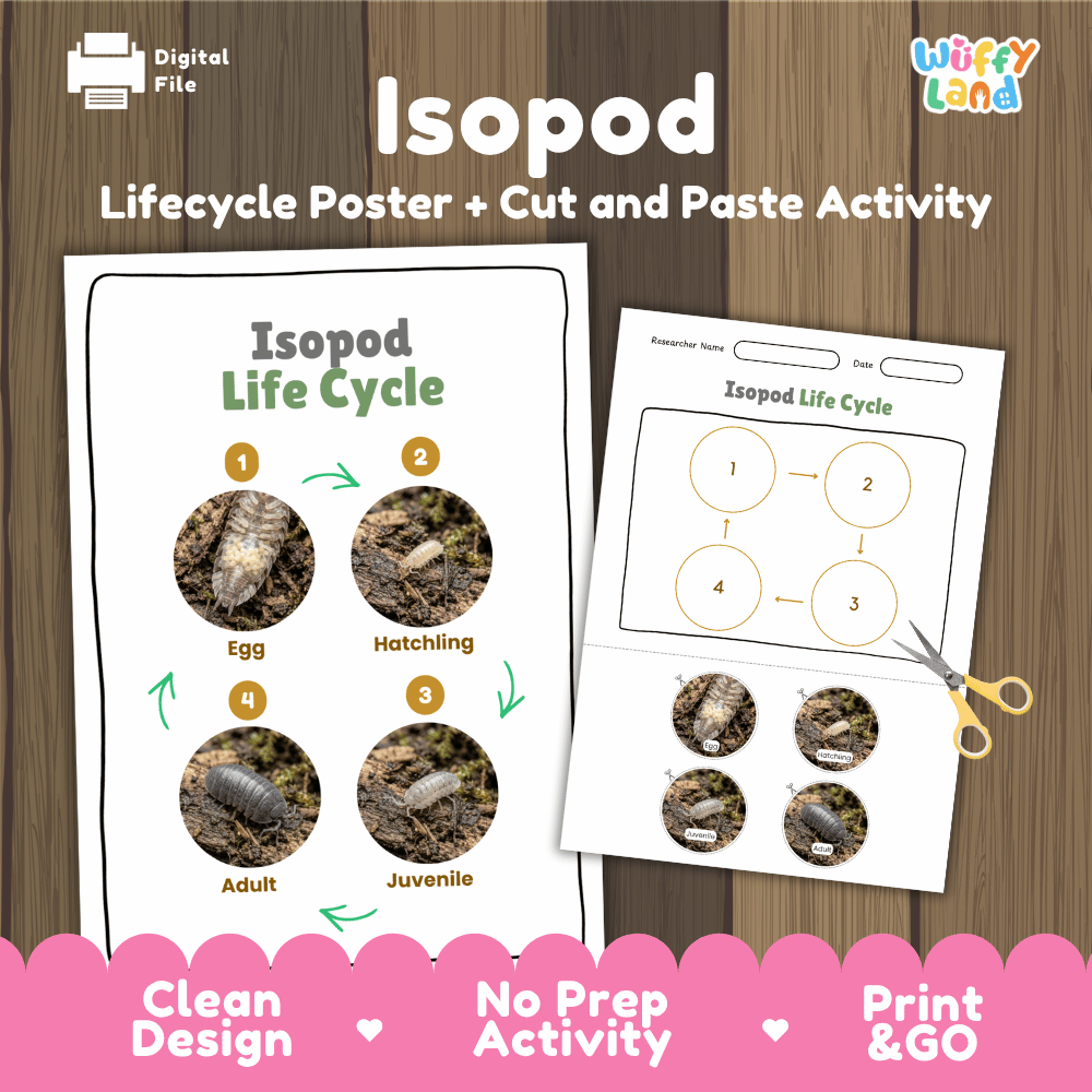 Isopod Life Cycle Poster and Cut and Paste Activity Worksheet