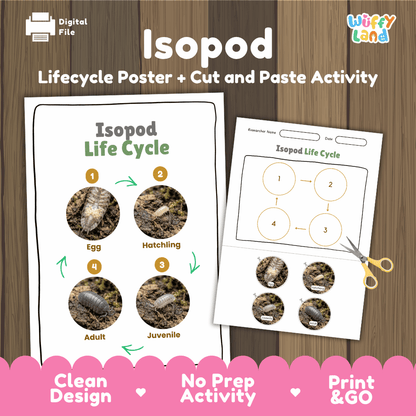 Isopod Life Cycle Poster and Cut and Paste Activity Worksheet