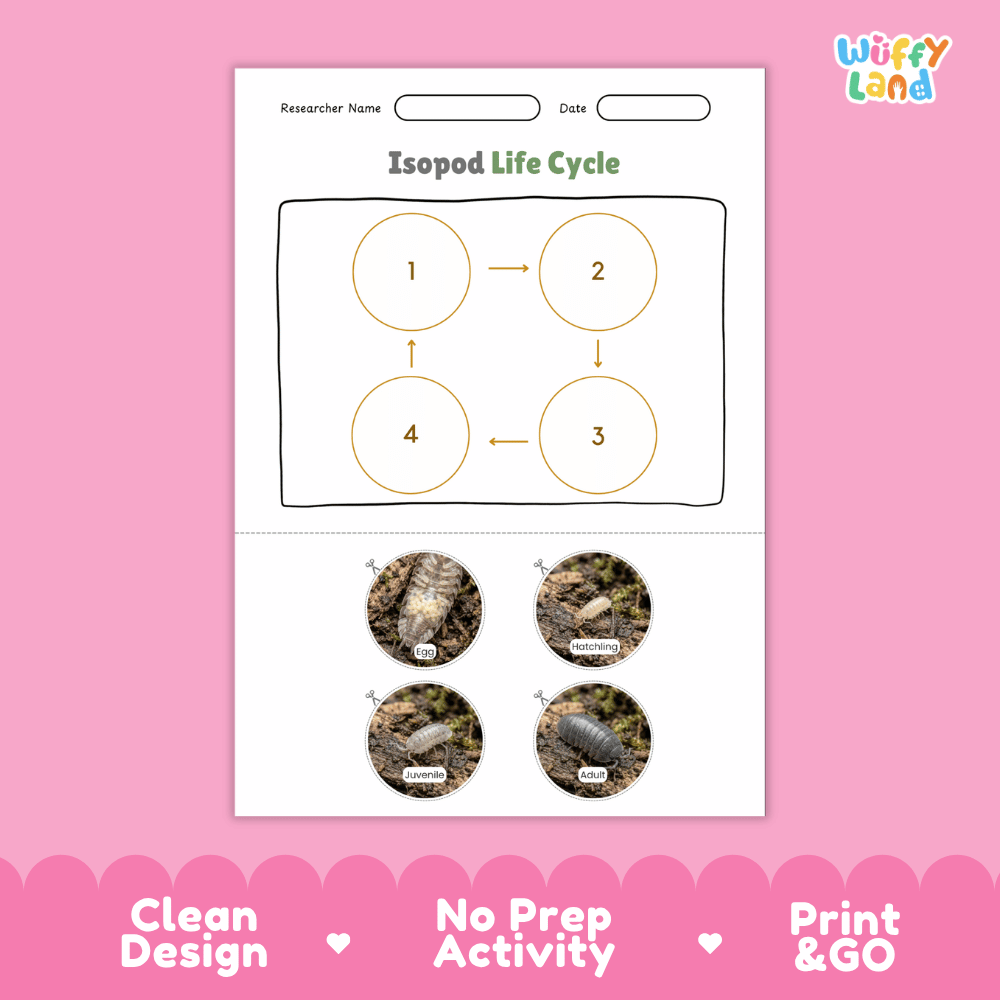 Isopod Life Cycle Poster and Cut and Paste Activity Worksheet