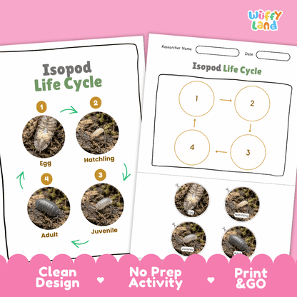 Isopod Life Cycle Poster and Cut and Paste Activity Worksheet