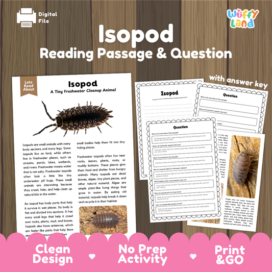 Digital reading activity product for Isopod reading passage and question sheets, shown on a wood background with printed worksheet pages and a pink banner reading 'Clean Design', 'No Prep Activity', and 'Print & GO'.