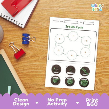 Ivy Lifecycle Poster and Cut and Paste Activity Worksheets | Plant Science Printables