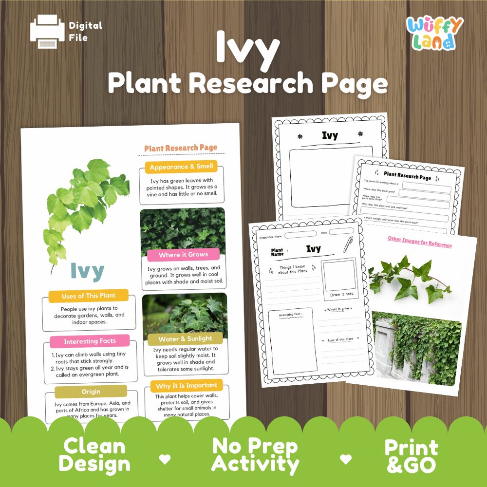 Ivy Plant Research Page Worksheets and Information Poster