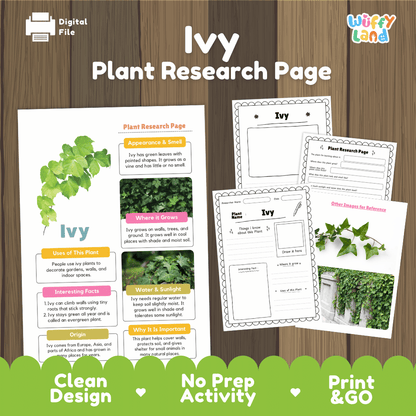 Ivy Plant Research Page Worksheets and Information Poster