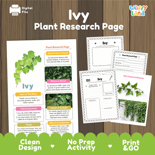 Student plant research page writing worksheets with real close up pointed green ivy leaves climbing stone walls, lined note-taking prompts, and drawing frames