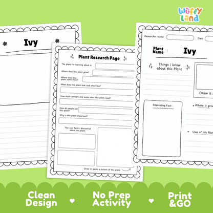 Ivy Plant Research Page Worksheets and Information Poster