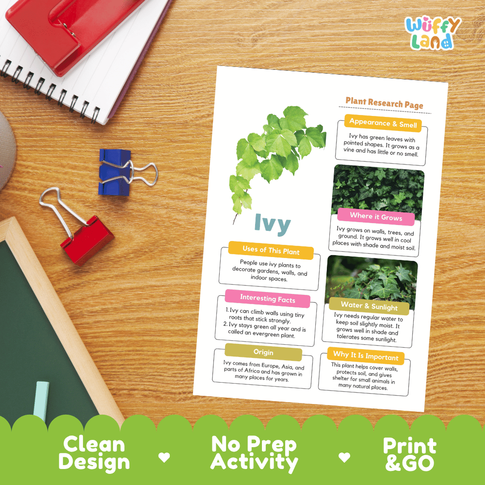 Ivy Plant Research Page Worksheets and Information Poster