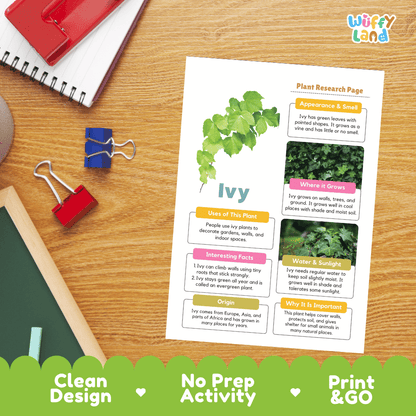Ivy Plant Research Page Worksheets and Information Poster